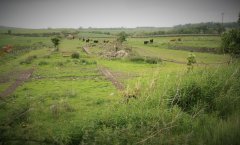 Kirkcowan-2008.3.jpg